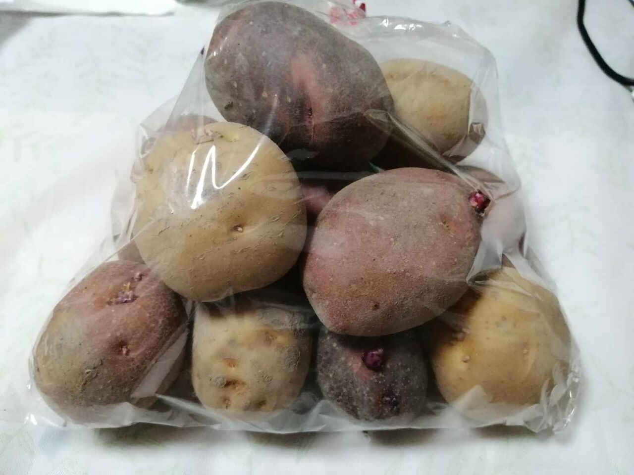 高槻の食材 その62 樫田の農風館で見つけた かわいいキタアカリ クラウンドペチカ アンデスのじゃがいも 高槻network新聞 高槻の食材 その62 樫田の農風館で見つけた かわいいキタアカリ クラウンドペチカ アンデスのじゃがいも 高槻network新聞