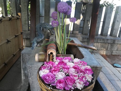 20220528野見神社 (4)