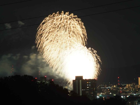 20230917水都くらわんか (47)