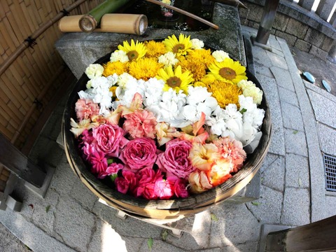20240721野見神社 (3)