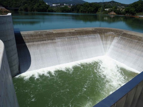 20230509安威川ダム昼前 (20)