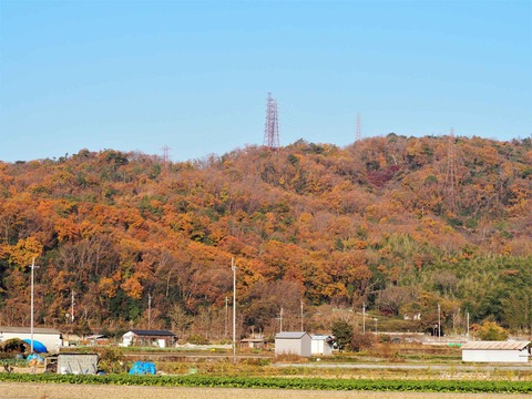 20221210摂津峡方面 (4)