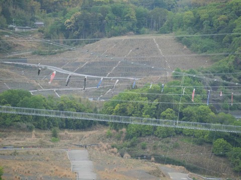 20260430安威川ダム (8)