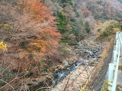 20251207府道6号紅葉 (29)