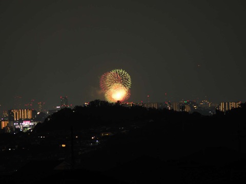 20220827なにわ淀川花火 (131)