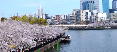 20240410大阪造幣局ほか (2)