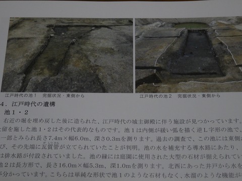 siro_report20190202_5