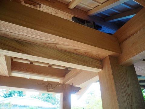 20220611安威川ダム_大門寺 (27)