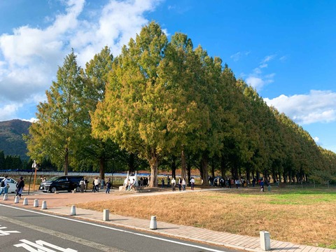 20211106takasima (2)
