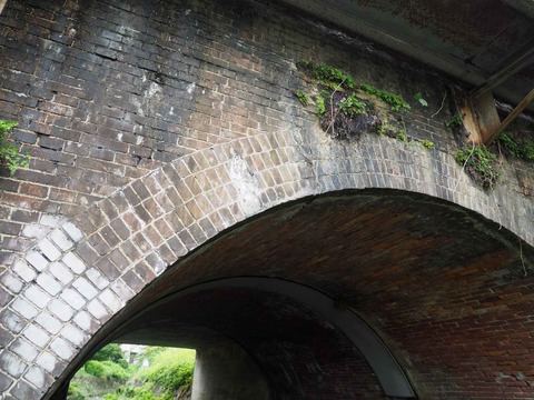 20220718長岡京3連 (7)