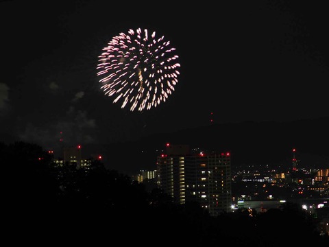20230917水都くらわんか (23)