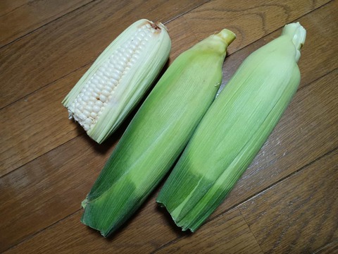 20250628ホワイトコーン (2)