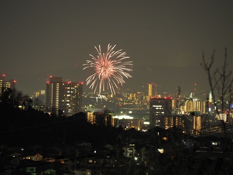 20220831くらわんか花火 (1)