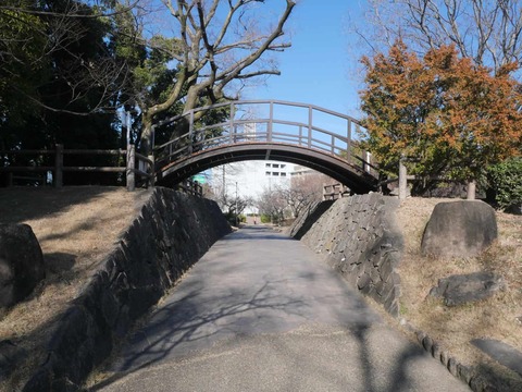 20260217茨木梅林 (48)