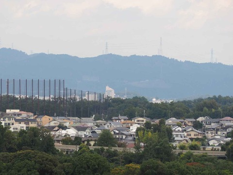 20221022万博記念公園 (65)