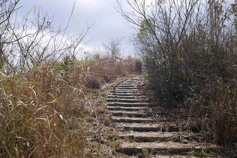 20200707setukyo (28)