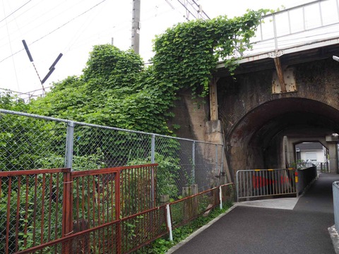 20220716長岡京6連 (19)