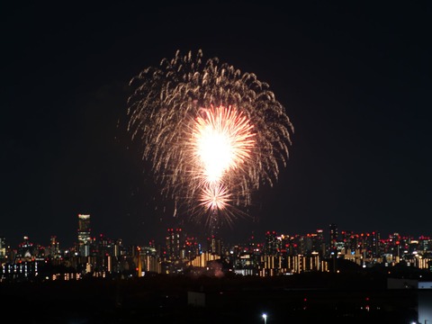 20240808辨天花火 (47)
