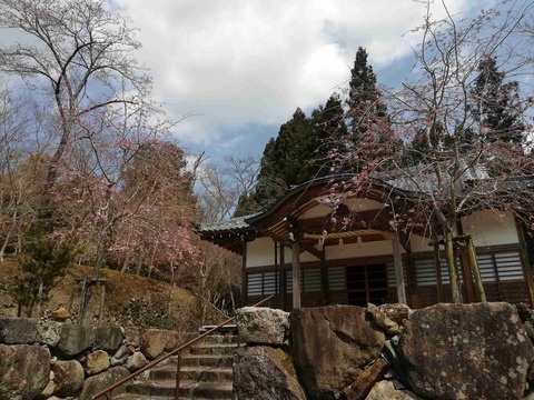 sk_hara_20190404_15