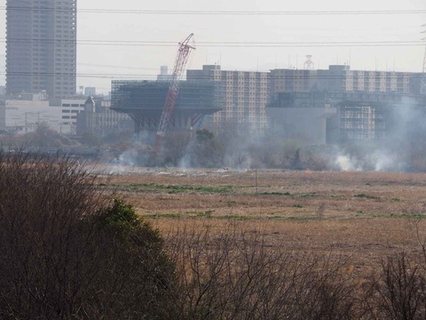 20230312ヨシ焼き (17)