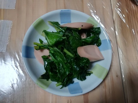 20240120べんり菜 (1)