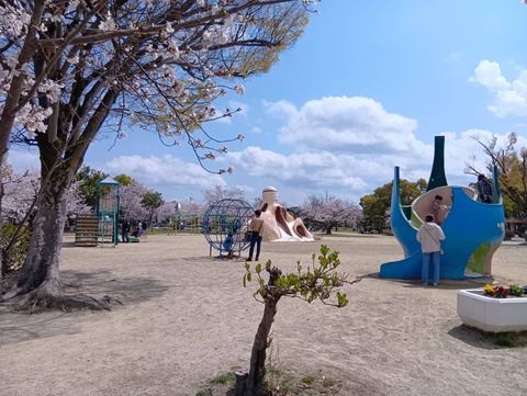 20250406高槻城公園南 (4)