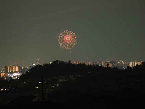 20220827なにわ淀川花火 (61)