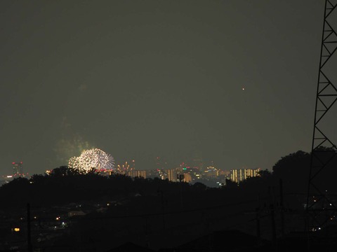 20220827なにわ淀川花火 (8)