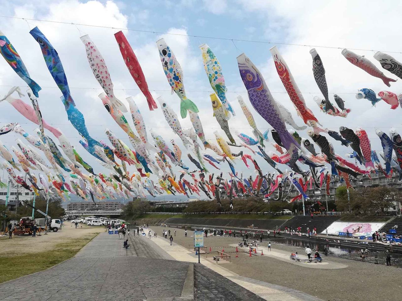 年 芥川のこいのぼりフェスタに続き 鯉のぼりも中止に 高槻network新聞 年 芥川のこいのぼりフェスタに続き 鯉のぼりも中止に 高槻network新聞