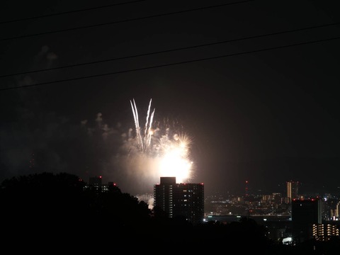 20240815くらわんか花火 (15)