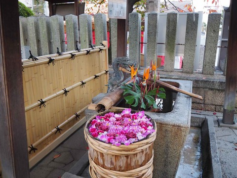 20211120野見神社 (5)