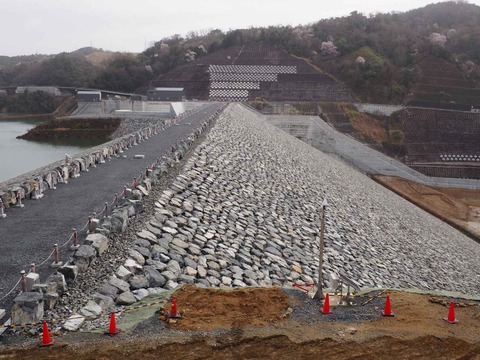 20230325安威川ダム (30)