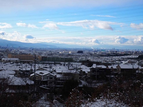20230125朝 (3)