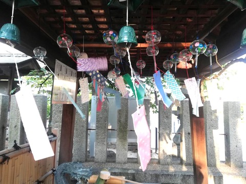 20240730野見神社 (3)