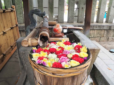 20220919野見神社 (3)