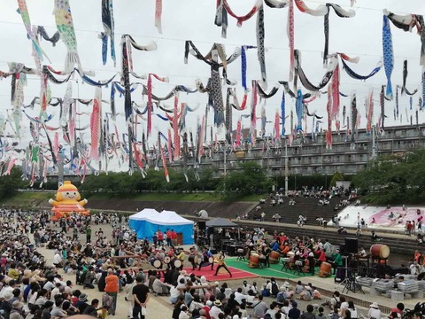 20240429こいのぼりフェスタ (26)