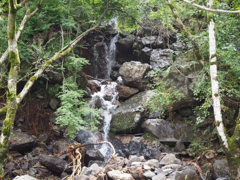 20210822karatani (6)