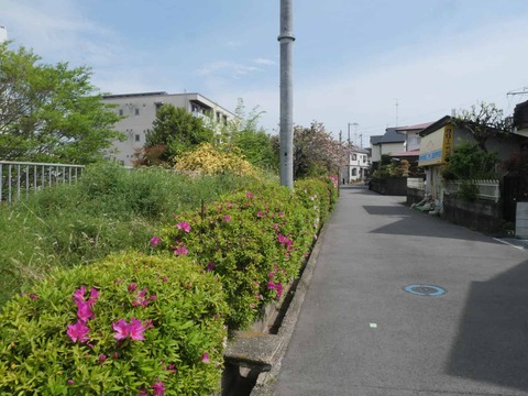 20260417西真上 (1)