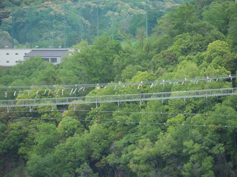 20260430安威川ダム (11)