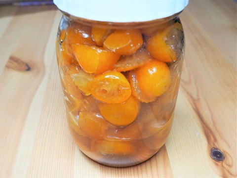 20230511キンカン (6)