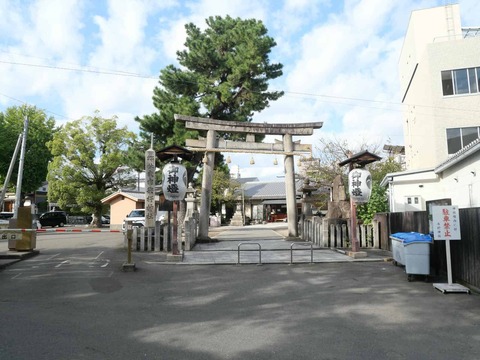 20241104淀城 (23)