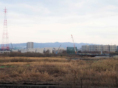 20220127淀川橋 (4)