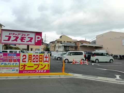 20260228コスモス (3)