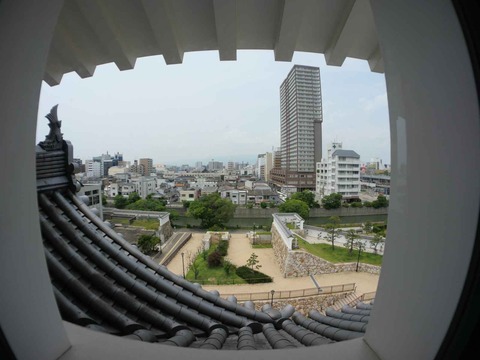 20240602尼崎城 (23)