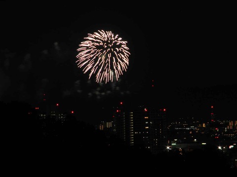 20230917水都くらわんか (30)