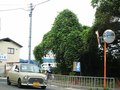 20260606郡家くず (5)