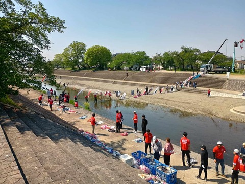 20250426こいのぼり (1)