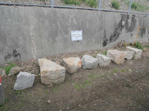 20260228梶原台場 (60)