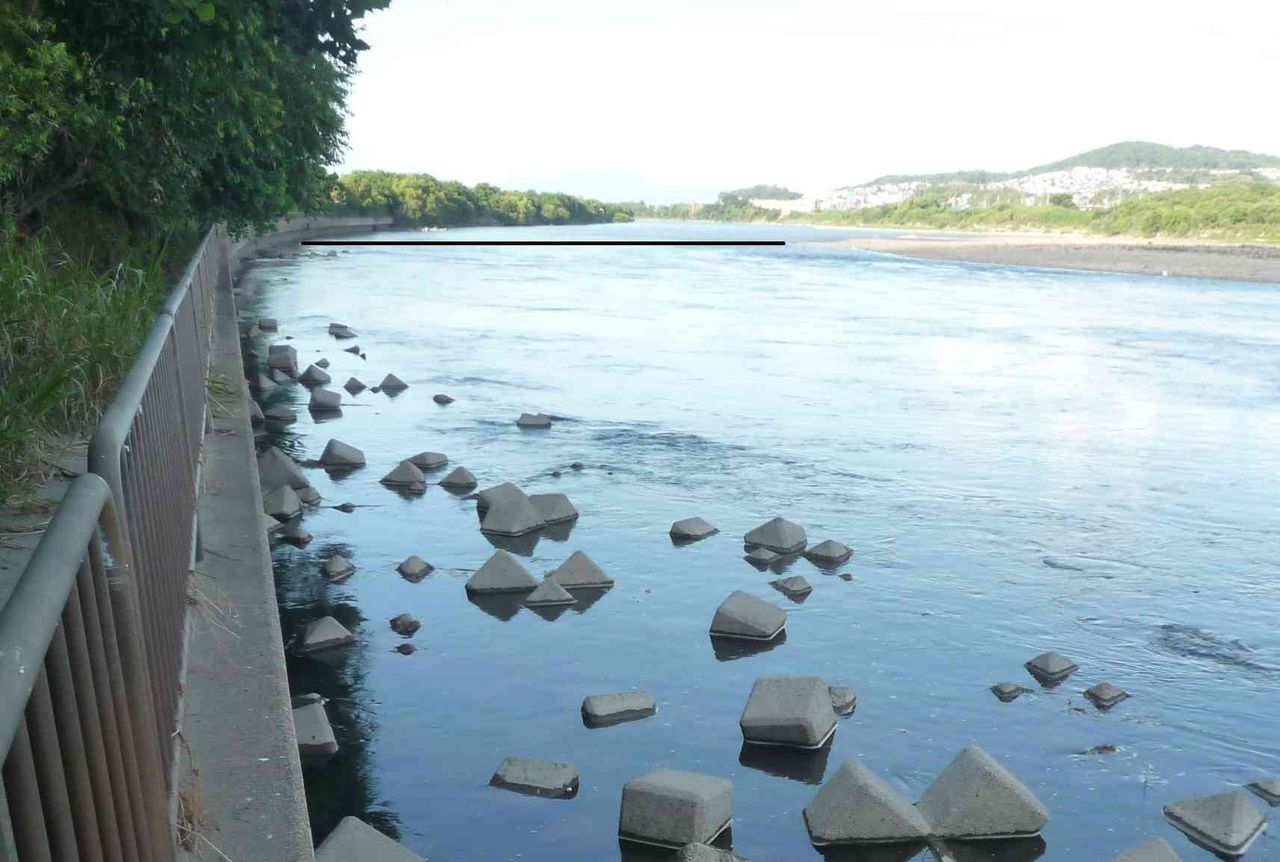 淀川の一番狭いところはいまどんな感じ 水位が少し低いときに再び見てきた 高槻network新聞