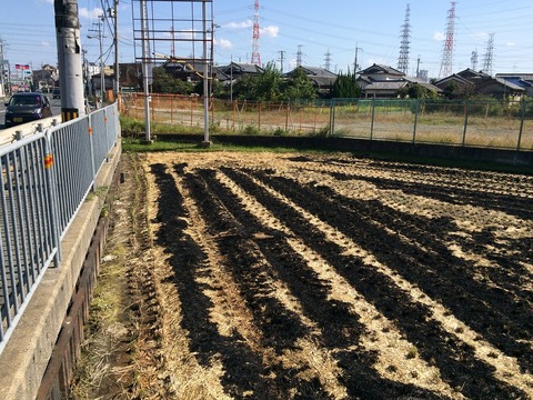 jyuso-takatsuki2
